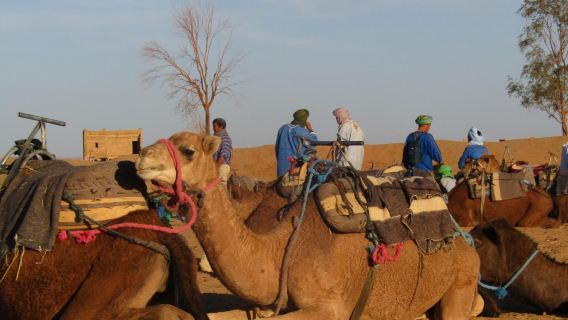 8-Days Tour Sea of Dunes