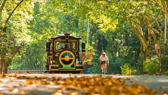 Nanjing|Lishui District guide/business translation/ guide/local guide service, Chinese! English! Russian! French! Other languages, consult before placing an order, match on demand