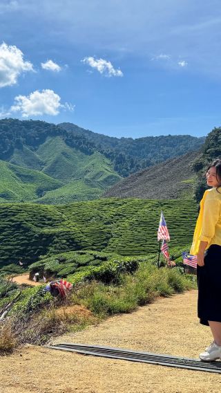 Cameron Highlands One Day Tour with Tea Plantation, AGRO Market & Lunch from Kuala Lumpur