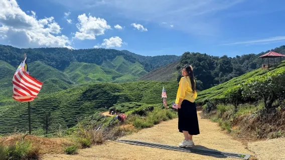 Excursion d'une journée dans les Cameron Highlands avec plantation de thé, marché AGRO et déjeuner au départ de Kuala Lumpur