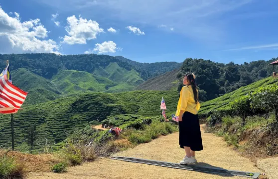 吉隆坡出發金馬侖高原日遊（茶園、Agro Market及午餐）