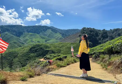 Cameron Highlands One Day Tour with Tea Plantation, AGRO Market & Lunch