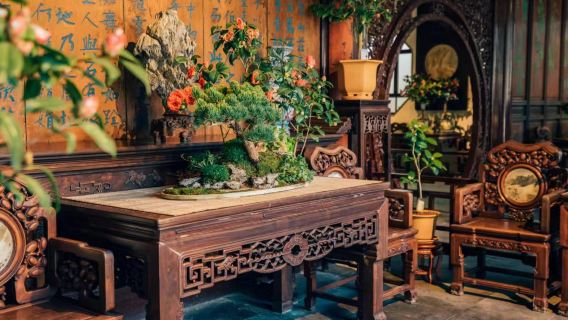 Vé vào cửa Lingering Garden ở Tô Châu: Đặt vé trực tuyến dễ dàng