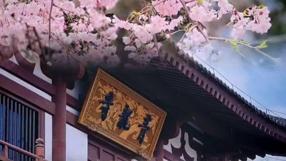 Xi’An Day Tour- Kyoto of China | Qinglong Temple- Big Wild Goose Pagoda- City Wall