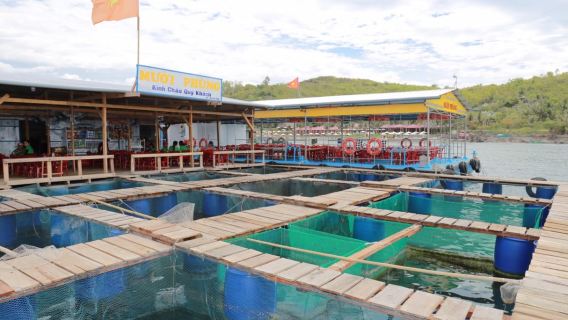 Excursión de un día a Nha Trang / Hon Mun y Coral Bay (traslado al hotel, almuerzo, guía...)