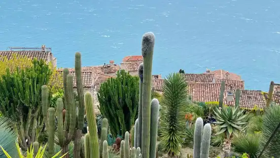 France Nice French Riviera + Monaco + Eze Village Half-Day Tour [Solo Traveler Friendly | Hotel Pickup and Drop-off]