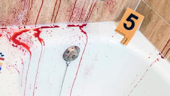 Nueva Orleans: Pub Crawl de crímenes reales solo para adultos