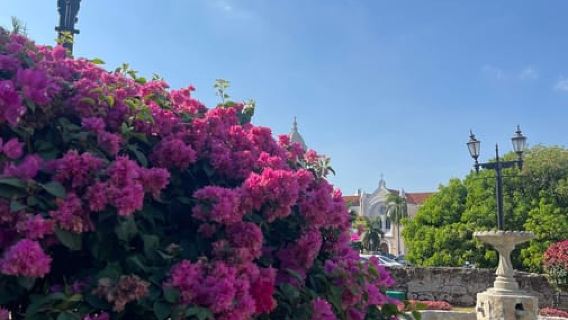 Panama City : visite de Casco Viejo, Amador et Cinta Costera