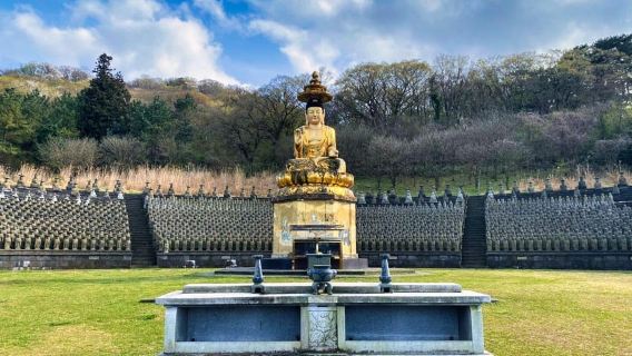 EAST JEJU: All Inclusive Private Tour w/ Taekwondo Show