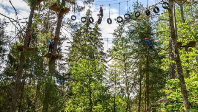 Dals Långed : Parcours Aventure en Hauteur pour Adultes et Enfants
