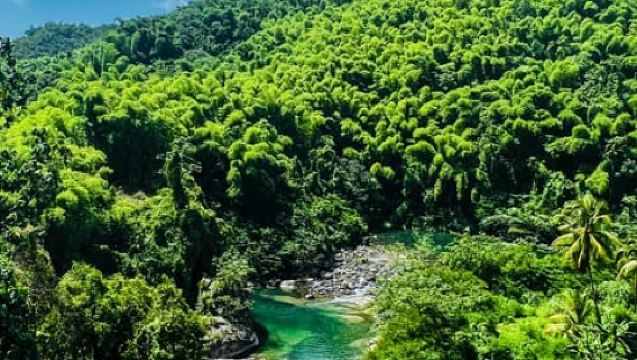 Однодневная поездка в Портленд