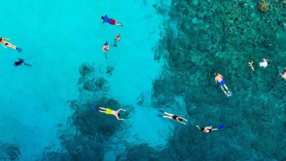 Tur Arch & Lover's Beach Los Cabos + Tur Snorkeling