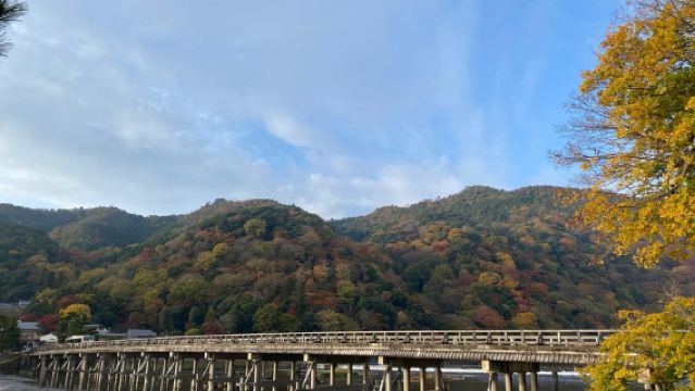 京都：嵐山ガイドツアー、竹林、猿、禅寺