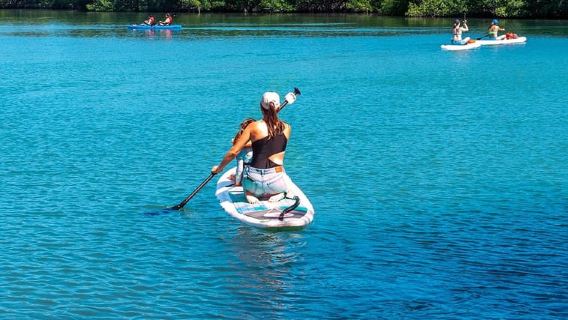 Miami: Paddleboard- oder Kajakverleih – PADL Beach Club