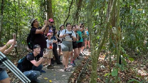 Manuel Antonio National Park: Animal watching hike