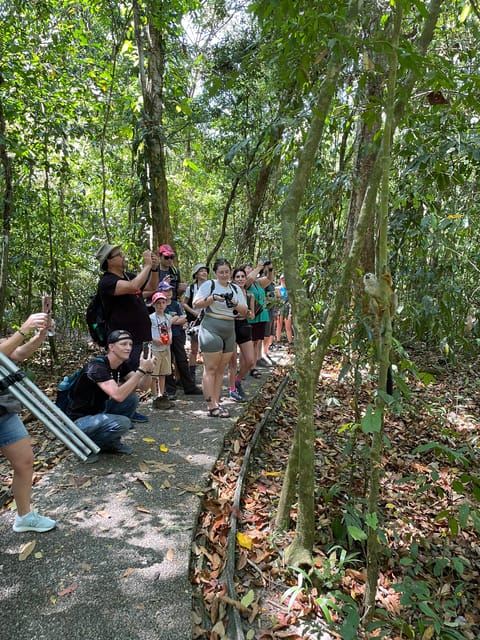 Manuel Antonio National Park: Animal watching hike