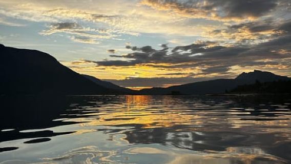 Narvik/Harstad: Tagestour durch die Fjorde mit Halt auf einer Rentierfarm