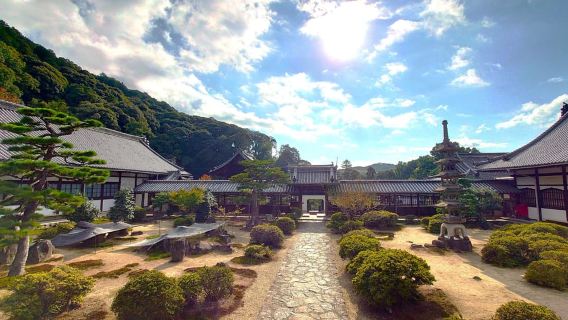 Radtour durch die Matcha-Grünteefelder und das Kulturerbe von Uji