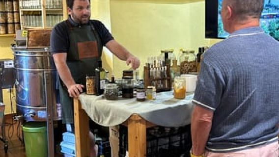 Korcula: Guided Wine Tour with Tastings