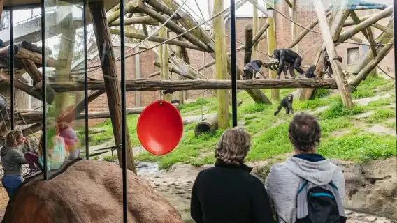 Sydney: Taronga Zoo Tickets