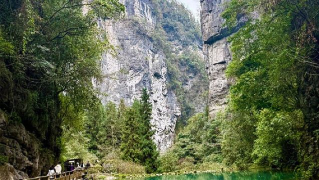Chongqing Three Natural Bridges + Longshuixia Fissure Gorge 1-day tour with English guide | Pure play no shopping