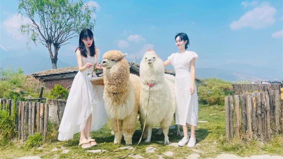 大理白族自治州旅拍【攝影服務資深攝影師品質拍攝/照片完整/國家特色寫真/個人情侶】