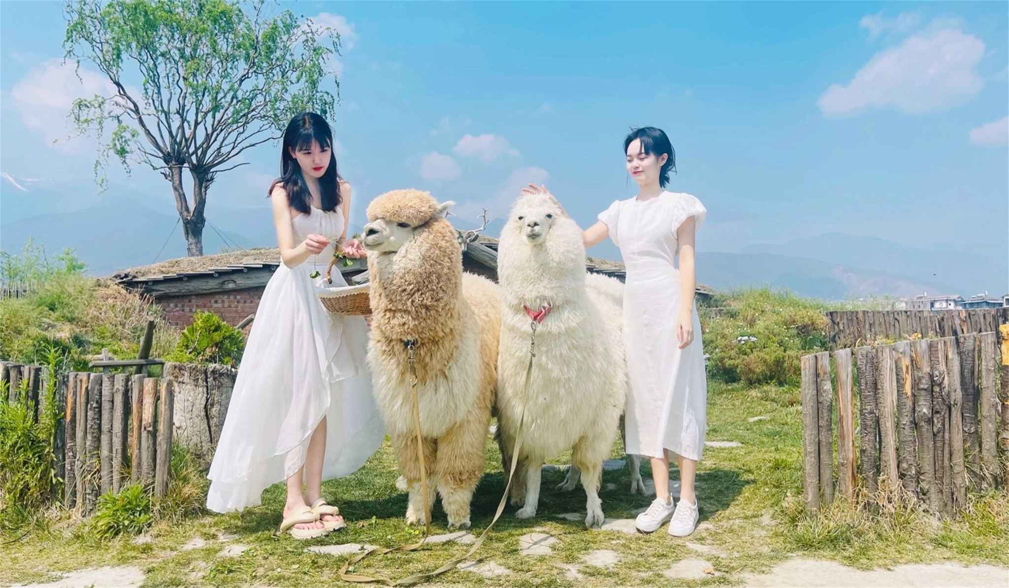 大理白族自治州Trip Moments【旅拍寫真資深攝影師品質拍攝/照片全送/民族特色寫真/個人情侶】