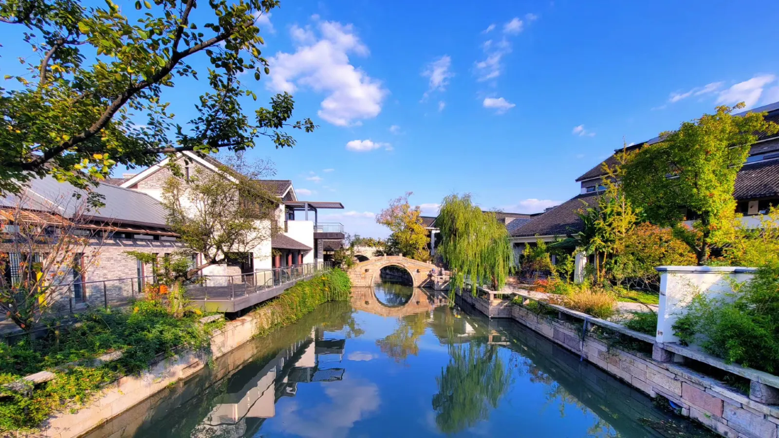 Università Jiao Tong di Shanghai + Sito culturale di Guangfulin + Molo di Shiliupu (Crociera notturna sul fiume Huangpu)