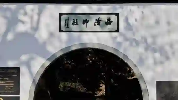 西泠印社人員導覽服務+孤山導覽