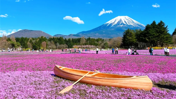 perjalanan satu hari Gunung Fuji, Danau Kawaguchi, Danau Motosu, dan Oshino Hakkai dengan Rute Melihat Bunga