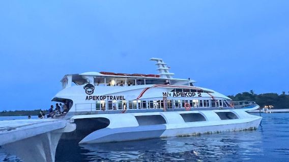 biglietto per la barca andata e ritorno Bohol Island - Oslob | Itinerario facile per l'avvistamento degli squali balena