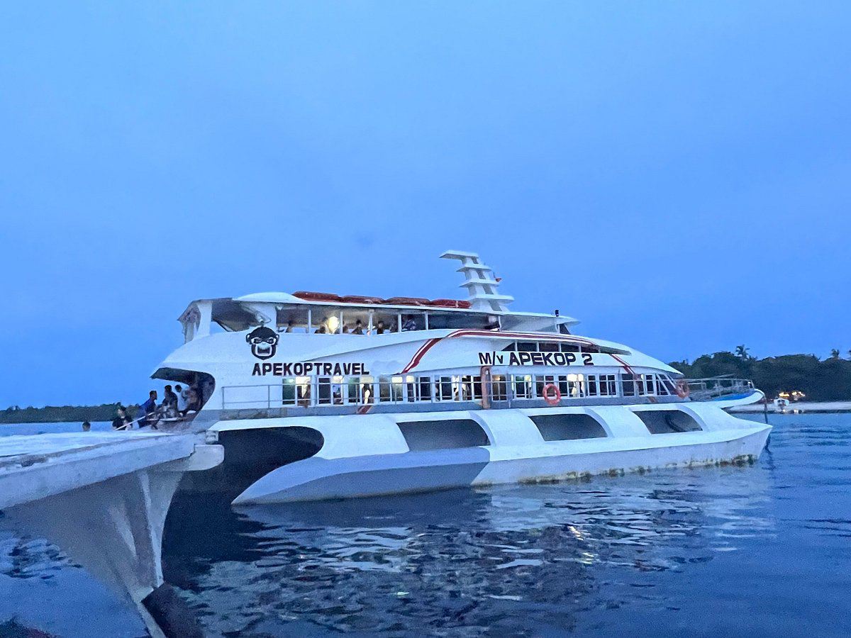 Bohol - Oslob round-trip boat ticket | Whale Shark Watching Convenient Route