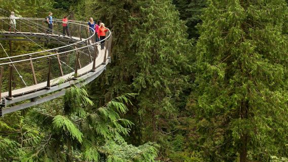 แวนคูเวอร์: ทัวร์พร้อมไกด์ + เยี่ยมชมสวนสะพานแขวนคาปิลาโน + อาหารกลางวัน