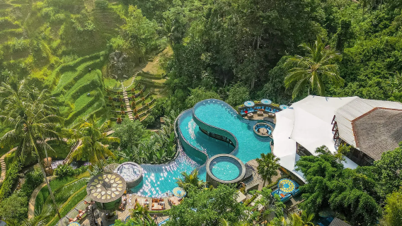 Cretya Ubud, Pura Tirta Empul, Teres Sawah, Air Terjun Ulu Petanu|Lawatan sepanjang hari di Ubud