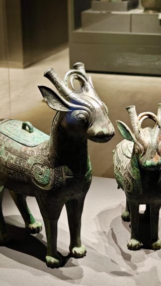 Xi'an 1-Day Tour: Qinling Wildlife Park + Archaeological Museum + Tang Paradise (Bilingual Service in Chinese and English)