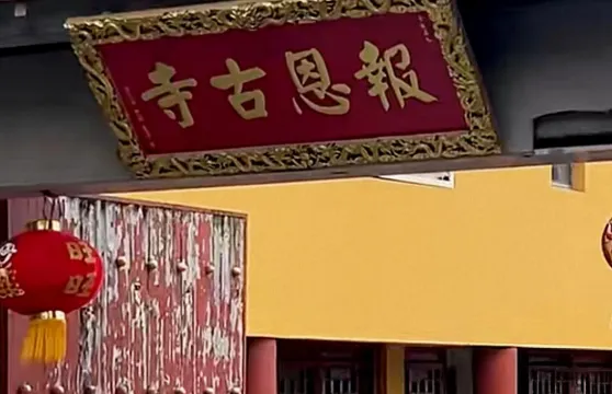 四川綿陽報恩寺+九皇山+李白故居包車一日遊可中英文服務