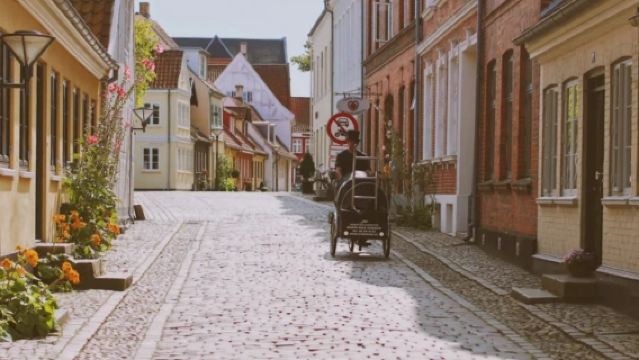 Copenhagen to Odense Round-Trip - Private Charter to Andersen's Fairy Tale Hometown Family Route - Top Pick