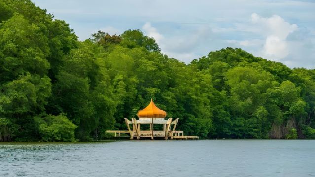 Lawatan Sehari Sewaan Peribadi di Brunei, Asia Tenggara (Sewaan Peribadi 10 Jam)