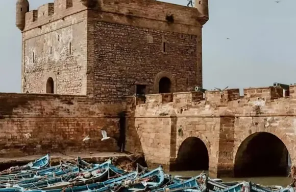 【英文拼團 馬拉喀什出發】索維拉古城+大西洋海景+山羊爬樹