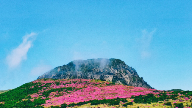 【濟州島南線包車】漢拿山國立公園+西歸浦潛水艇+山茶花之丘+海水浴場