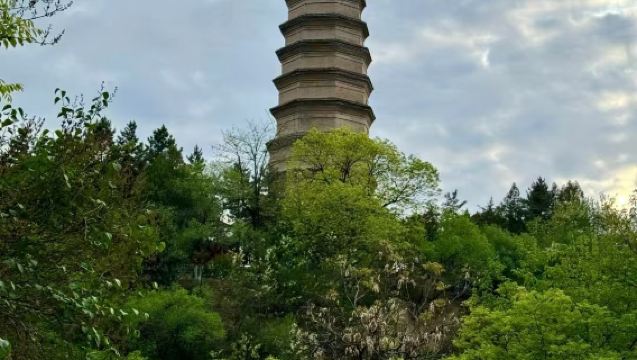 1-day tour to Baota Mountain, Memorial Hall, Wangjiaping, Yangjialing, and Zaoyuan in Yan'an