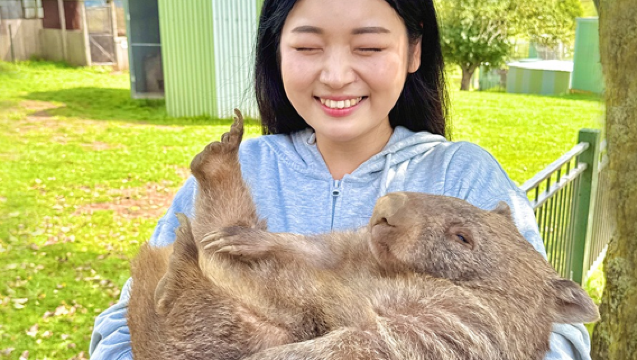 [웜뱃안기투어] 서던하이랜드+타랄가 동물원 한국인 가이드 투어(보우럴, 타랄가, 골번) 호주 시드니 자유여행