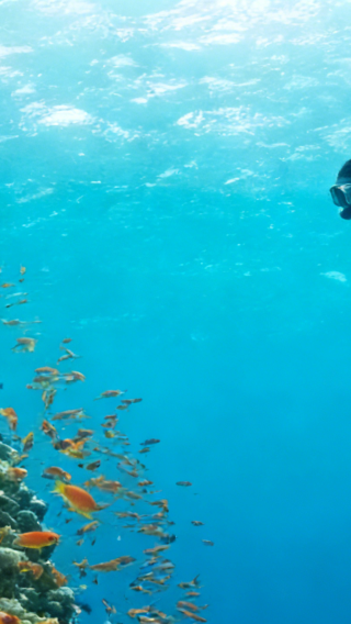 1-day tour to Semporna: Mabul Island + Kapalai snorkeling - visit two islands and see the water village