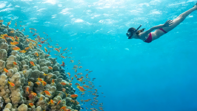 Semporna Island Hopping Tour | Mabul & Kapalai | Twin Islands Discovery + Sea Villages