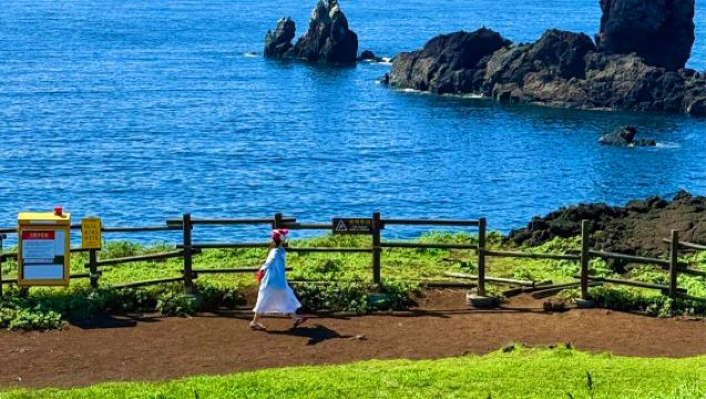 【一價全含】上門接·追海豚+小羊肖恩+山茶花之丘+涯月+挾才