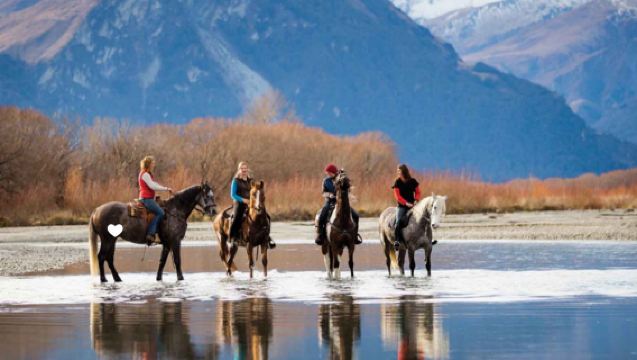 Queenstown Glenorchy Horse Riding Sightseeing Experience in New Zealand [Optional Lord of the Rings/Rees River Route | Basic English Required]