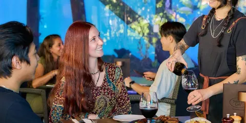 凱恩斯水族館:夜間入場 + 兩道菜晚餐