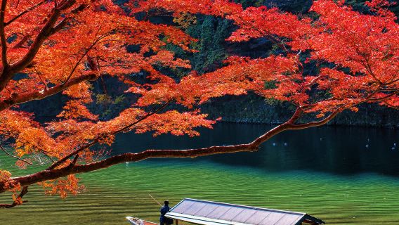 [교토 힐링] 호즈강 유람선 2시간 드리프트 | 뱃사공의 노 젓기와 급류 모험으로 일본식 로맨스를 만끽하세요