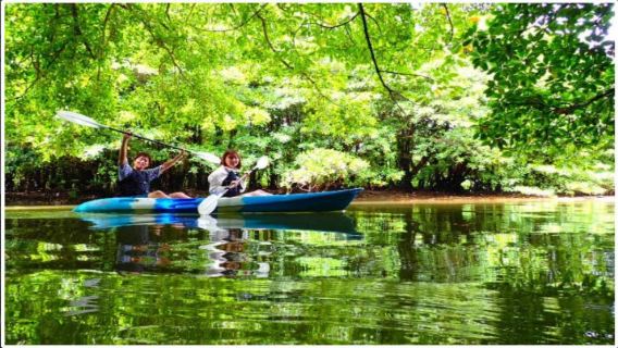 [Ishigaki] Kano-ervaring in het mangrovebos, een natuurmonument