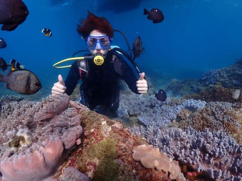ヤロンワン・エーゲ海PADIプレミアム遠海ダイビング】マンツーマン ヤロンワン・エーゲ海PADIプレミアム遠海ダイビング】マンツーマン